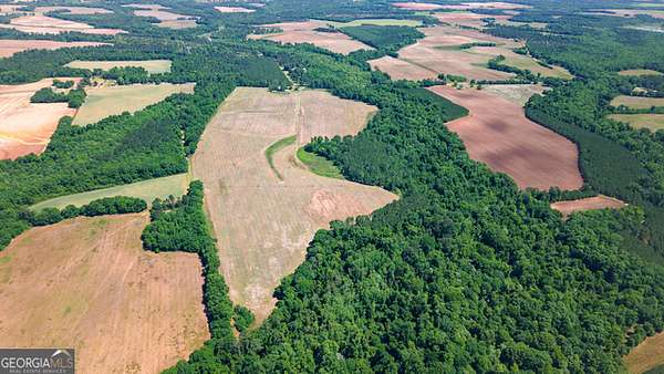 147 Acres of Land for Sale in Bluffton, Georgia