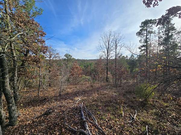 20 Acres of Land for Sale in Heavener, Oklahoma