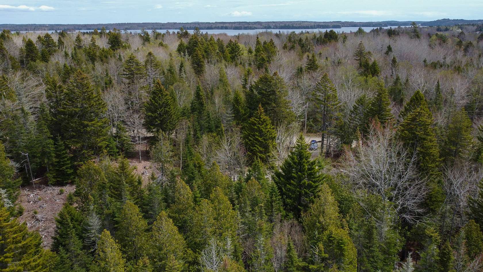 7.1 Acres of Agricultural Land for Sale in East Machias, Maine