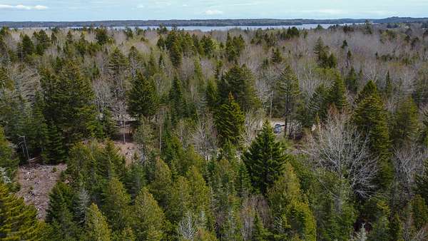 7.1 Acres of Agricultural Land for Sale in East Machias, Maine