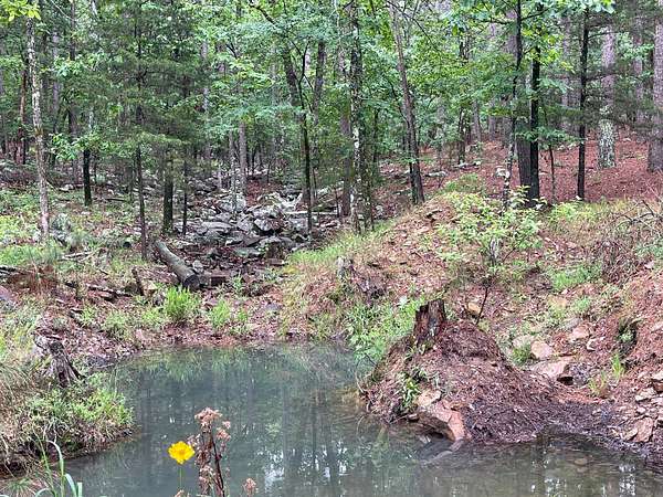 25 Acres of Improved Land for Sale in Moyers, Oklahoma