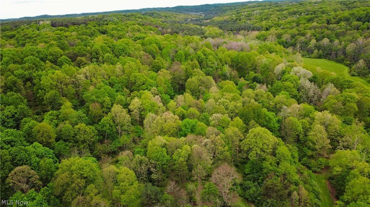 30 Acres of Recreational & Residential Land for Sale in Corning, Ohio