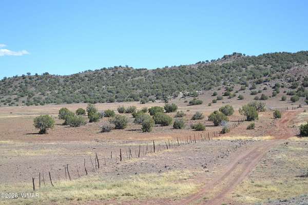 39.8 Acres of Recreational Land for Sale in Concho, Arizona