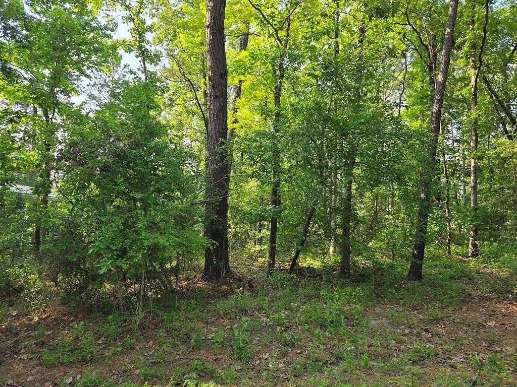 0.22 Acres of Land for Sale in Brookeland, Texas