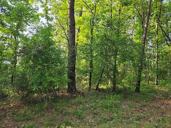 0.22 Acres of Land for Sale in Brookeland, Texas