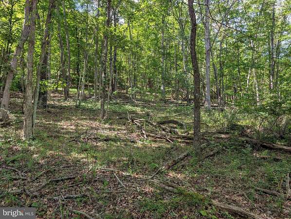 5 Acres of Residential Land for Sale in Great Cacapon, West Virginia