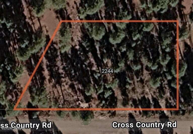 0.73 Acres of Residential Land for Sale in Overgaard, Arizona