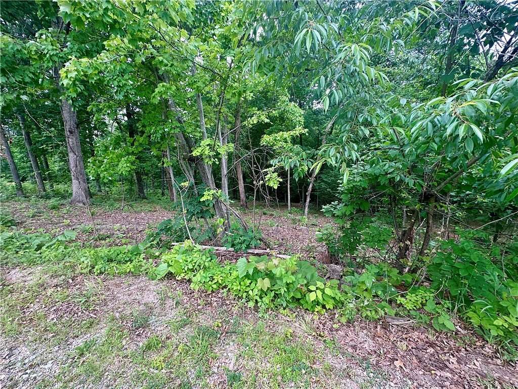 0.35 Acres of Residential Land for Sale in Bella Vista, Arkansas