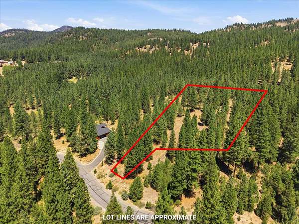 1.54 Acres of Residential Land for Sale in Beckwourth, California