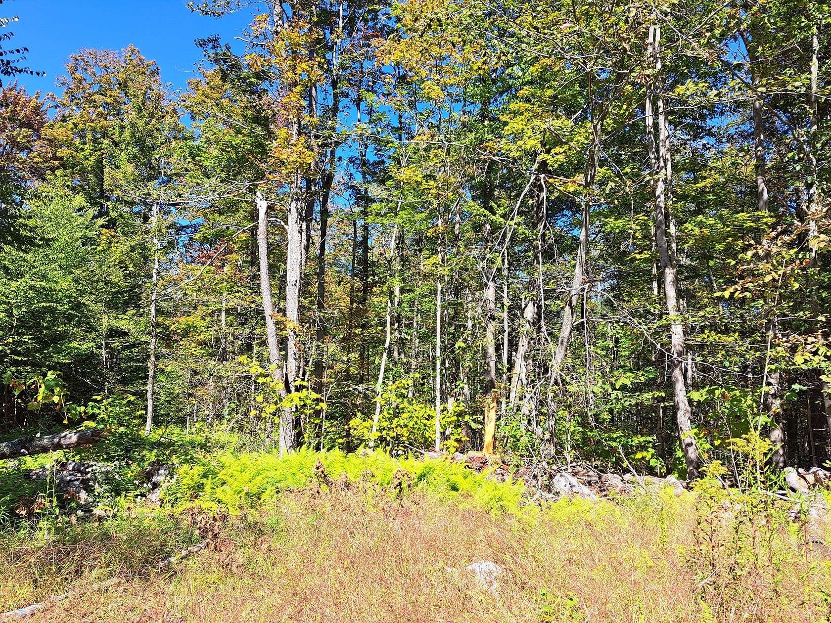 26.5 Acres of Recreational & Residential Land for Sale in Blandford, Massachusetts