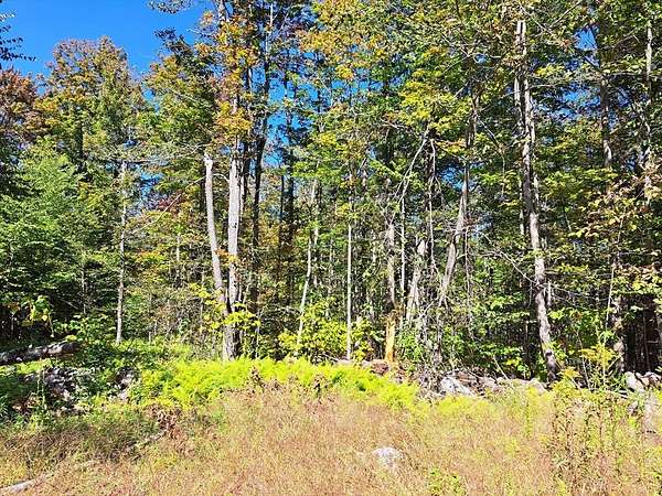 26.5 Acres of Recreational & Residential Land for Sale in Blandford, Massachusetts