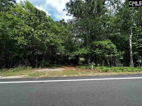 55.1 Acres of Land for Sale in Gaston, South Carolina