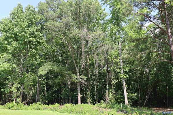 4.9 Acres of Land for Sale in Scottsboro, Alabama