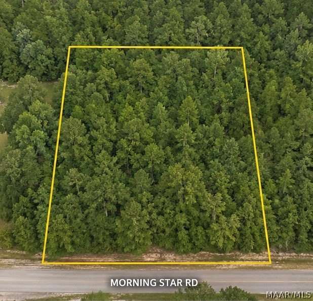 2.5 Acres of Residential Land for Sale in Whatley, Alabama