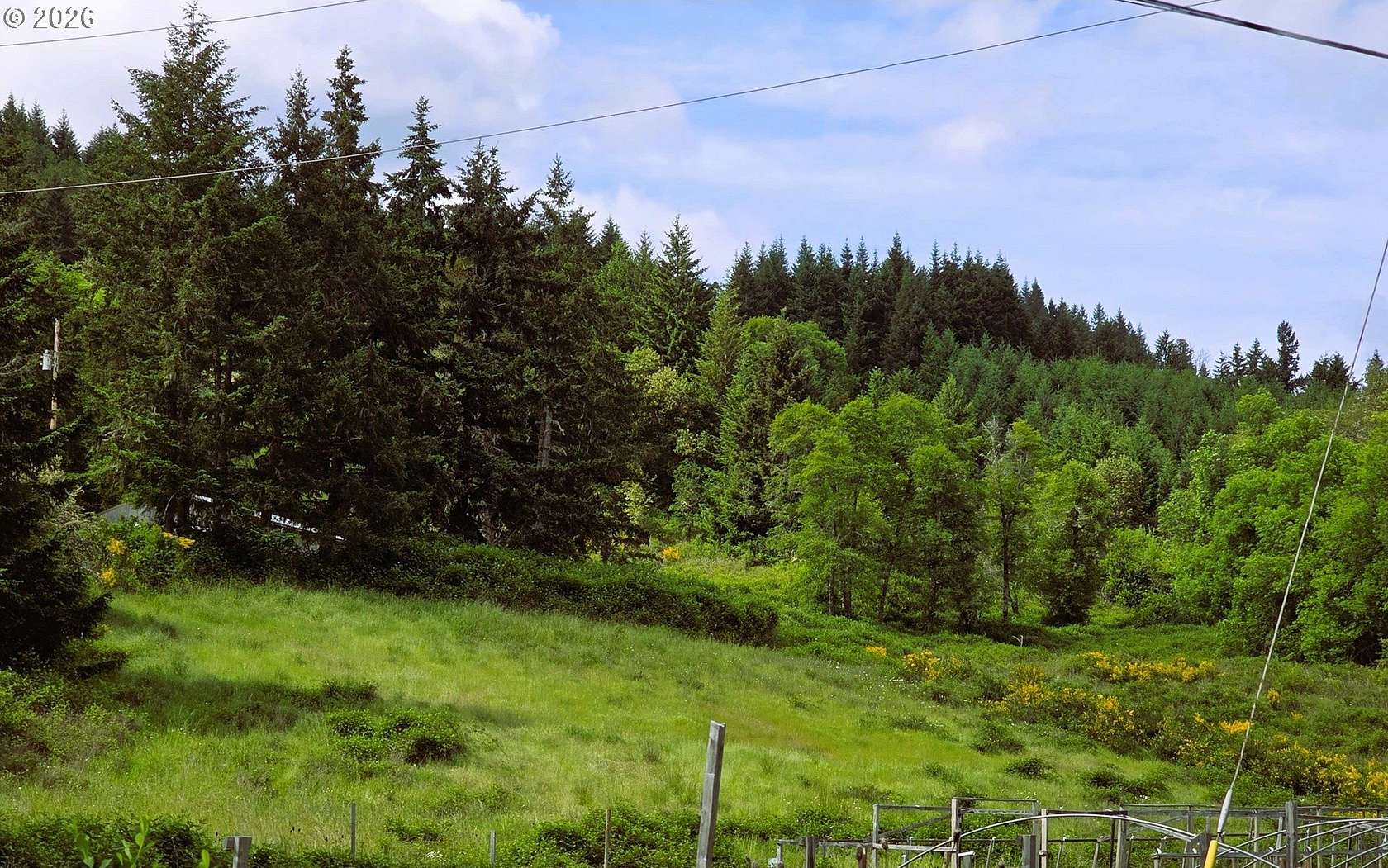 37.5 Acres of Agricultural Land with Home for Sale in Yoncalla, Oregon