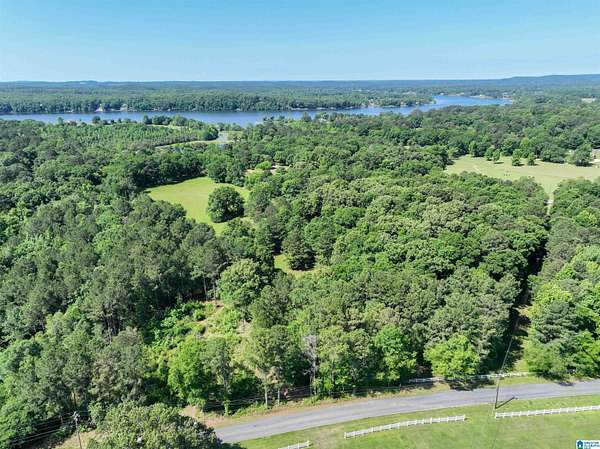 13.8 Acres of Land for Sale in Wilsonville, Alabama