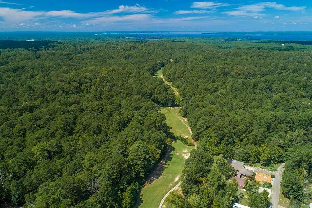 0.18 Acres of Residential Land for Sale in Brookeland, Texas