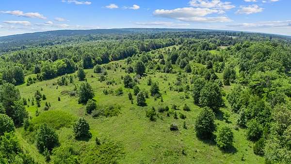 117 Acres of Recreational & Residential Land for Sale in Nacogdoches, Texas