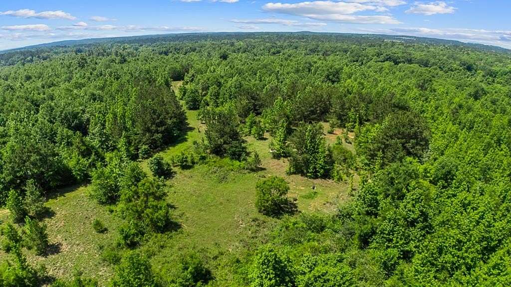 167 Acres of Recreational & Residential Land for Sale in Nacogdoches, Texas