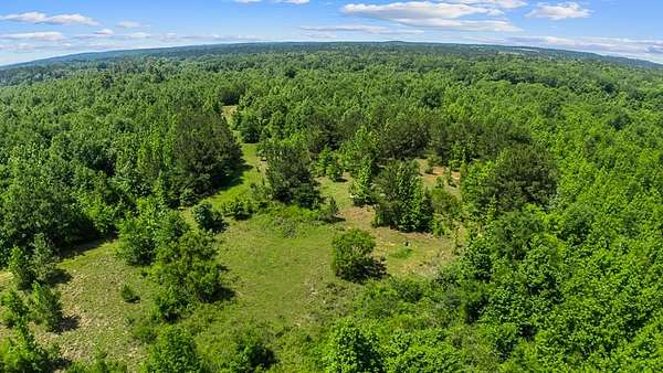 167 Acres of Recreational & Residential Land for Sale in Nacogdoches, Texas