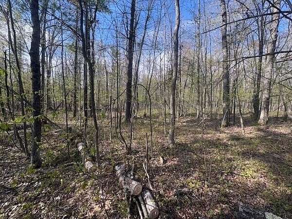 6 Acres of Residential Land for Sale in Marion, Michigan