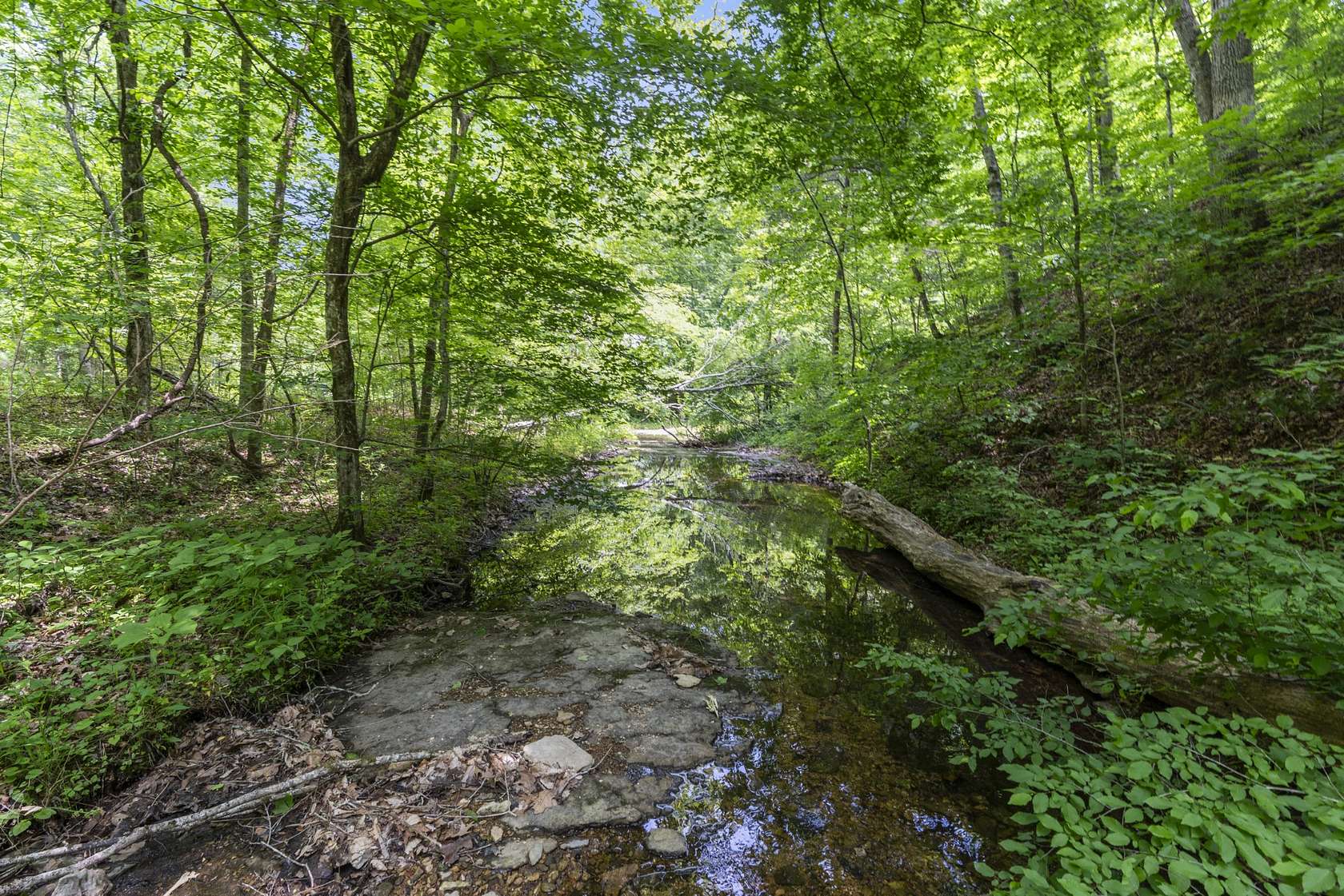 44.5 Acres of Recreational & Residential Land for Sale in Pegram, Tennessee