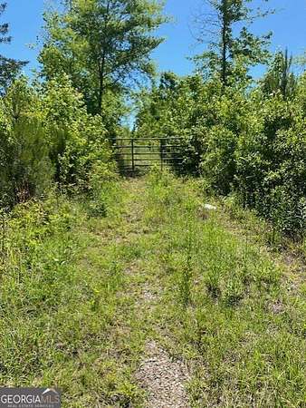 23.3 Acres of Recreational Land for Sale in Griffin, Georgia