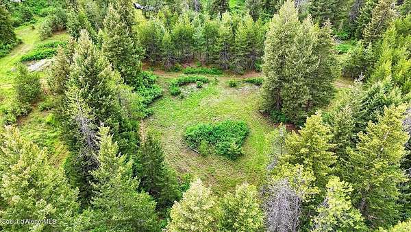 5 Acres of Land for Sale in Spirit Lake, Idaho