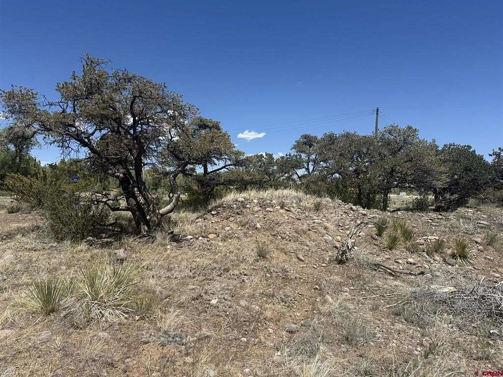 0.25 Acres of Residential Land for Sale in South Fork, Colorado