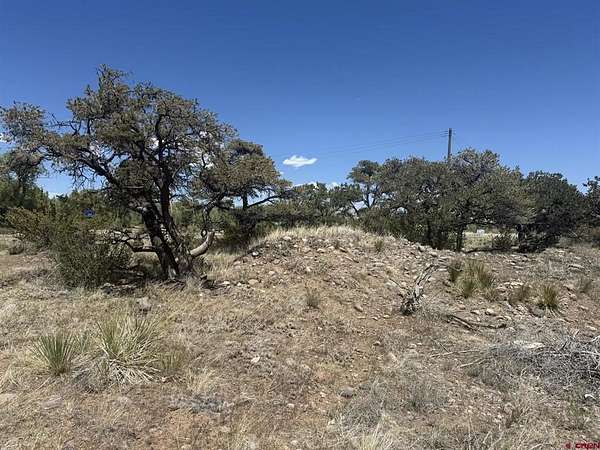 0.25 Acres of Land for Sale in South Fork, Colorado