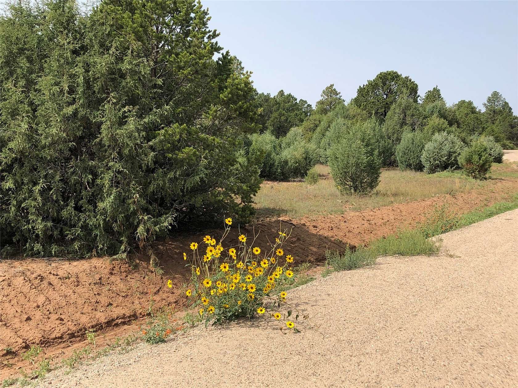 1 Acre of Residential Land for Sale in Pecos, New Mexico