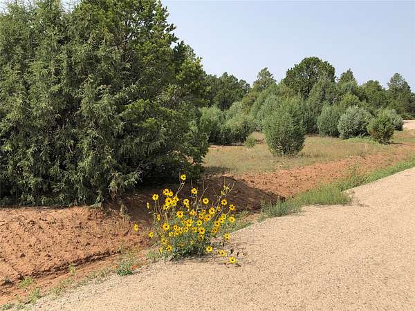 1 Acre of Residential Land for Sale in Pecos, New Mexico