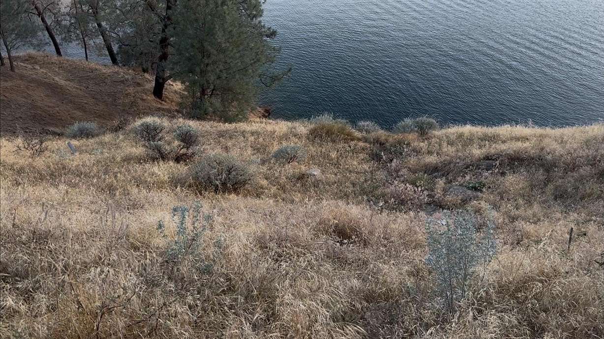 0.19 Acres of Residential Land for Sale in Fresno, California