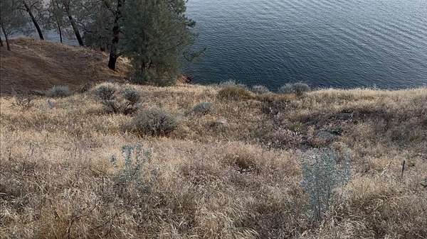 0.19 Acres of Residential Land for Sale in Fresno, California