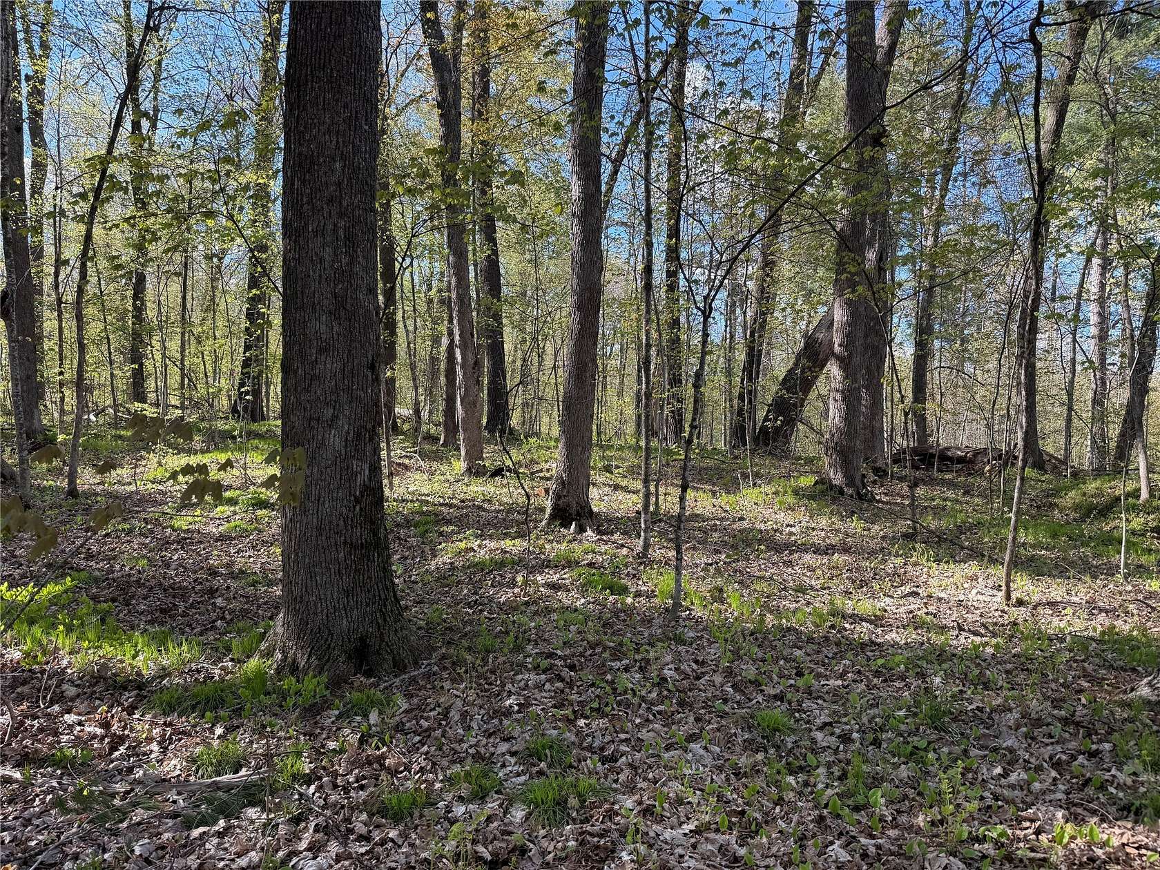 0.56 Acres of Residential Land for Sale in Sarona, Wisconsin