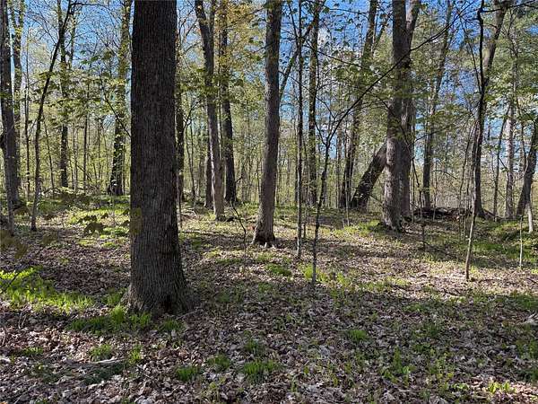 0.56 Acres of Residential Land for Sale in Sarona, Wisconsin
