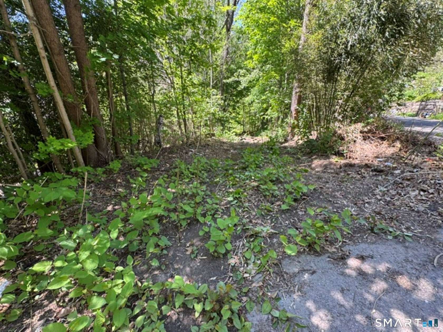 1.7 Acres of Mixed-Use Land for Sale in Naugatuck, Connecticut