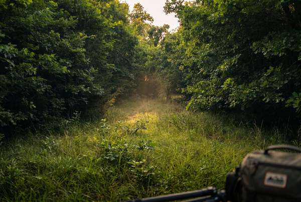 128 Acres of Land for Sale in Lewisburg, Tennessee