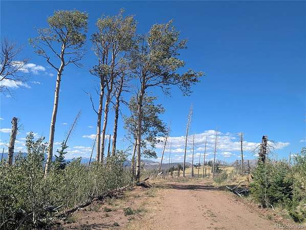1.39 Acres of Residential Land for Sale in Fort Garland, Colorado