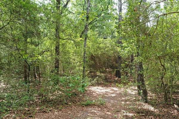 55 Acres of Recreational & Residential Land for Sale in Grapeland, Texas