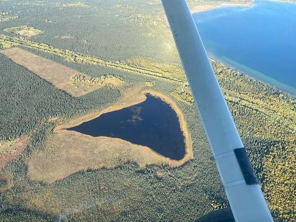 16.8 Acres of Recreational & Residential Land for Sale in Salcha, Alaska