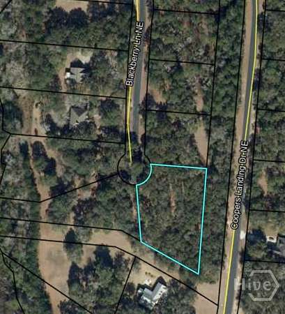 1.16 Acres of Land for Sale in Townsend, Georgia