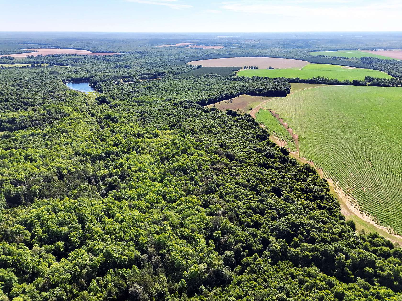 110 Acres of Land for Sale in Shellman, Georgia