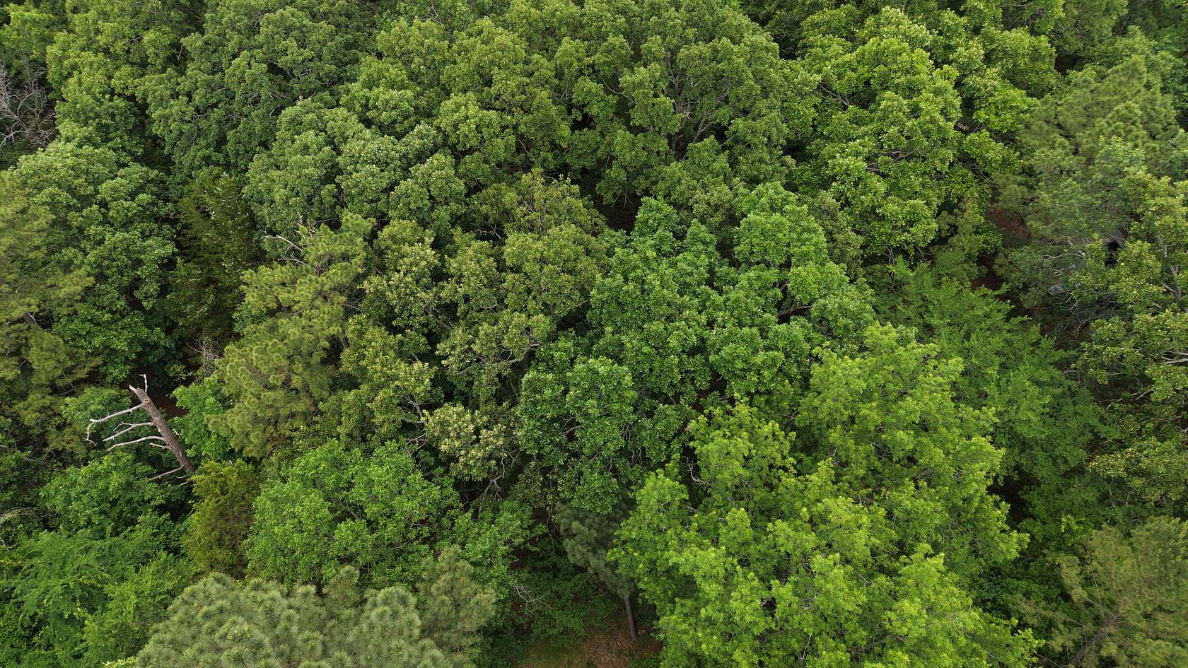 2.5 Acres of Residential Land for Sale in Wilburton, Oklahoma