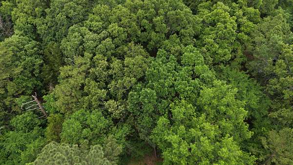 2.5 Acres of Residential Land for Sale in Wilburton, Oklahoma