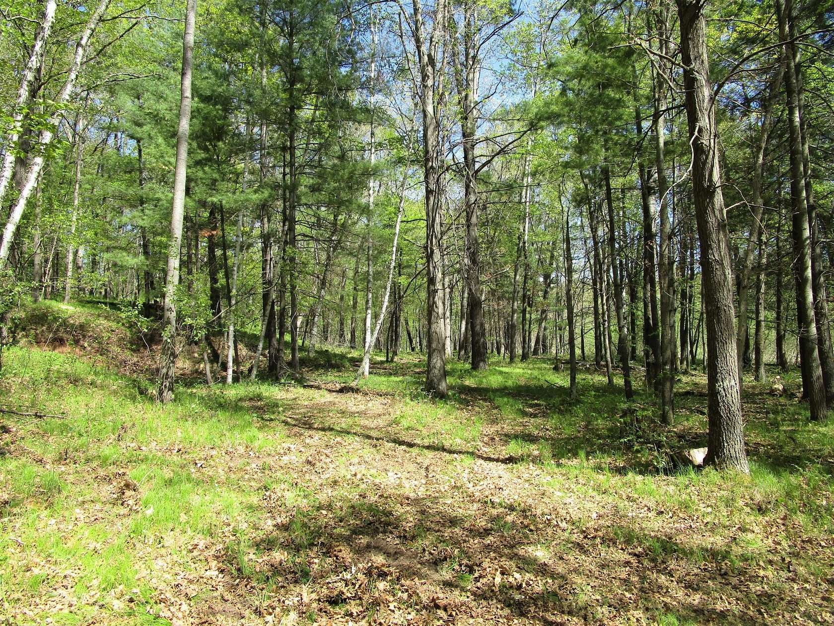 8.2 Acres of Residential Land for Sale in Siren, Wisconsin