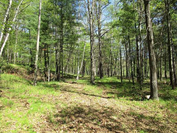 8.2 Acres of Residential Land for Sale in Siren, Wisconsin