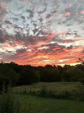 20.4 Acres of Land for Sale in Terrell, Texas