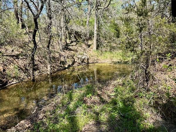 35 Acres of Agricultural & Residential Land for Sale in Perrin, Texas