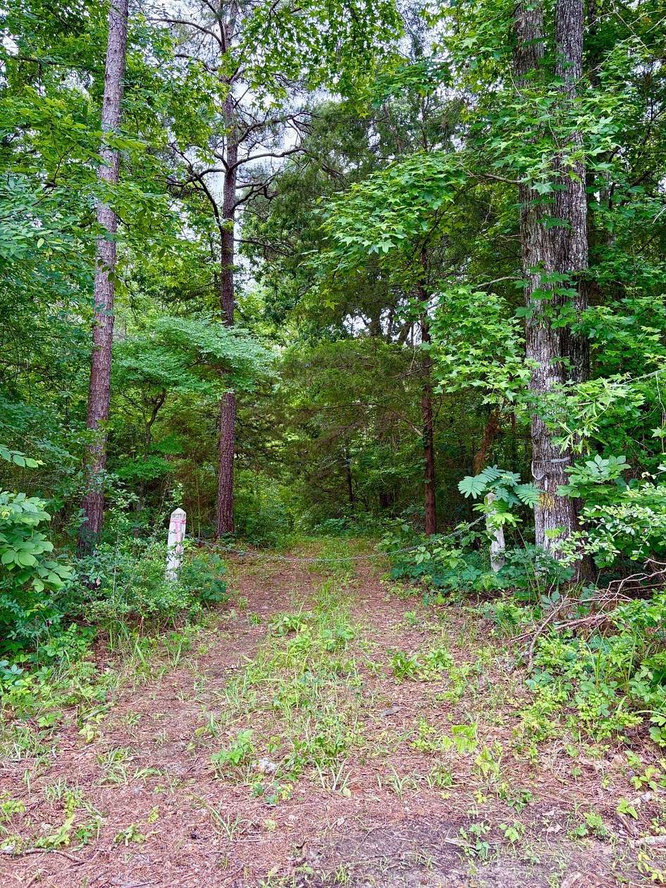 38 Acres of Land for Sale in Jacksonville, Texas